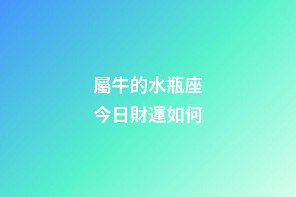屬牛的水瓶座今日財運如何-第1張-星座運勢-玄機派