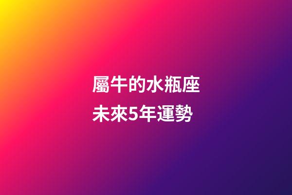 屬牛的水瓶座未來5年運勢