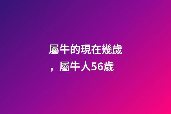 屬牛的現在幾歲，屬牛人56歲-第1張-觀點-玄機派