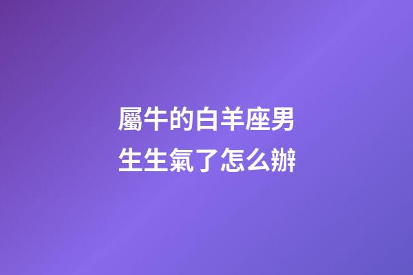 屬牛的白羊座男生生氣了怎么辦-第1張-星座運勢-玄機派