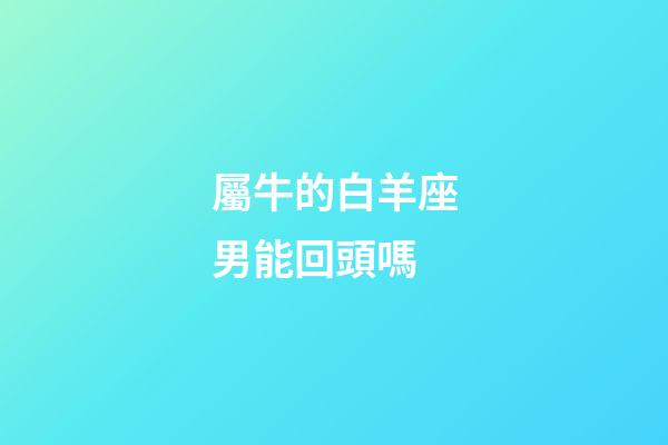 屬牛的白羊座男能回頭嗎-第1張-星座運(yùn)勢(shì)-玄機(jī)派