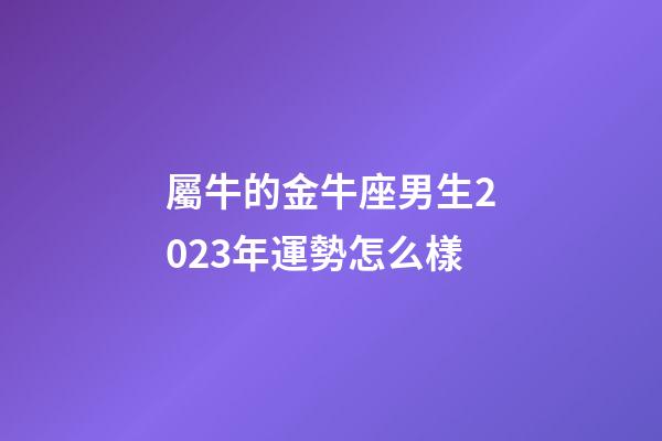 屬牛的金牛座男生2023年運勢怎么樣-第1張-星座運勢-玄機派
