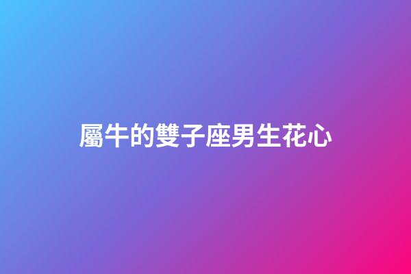 屬牛的雙子座男生花心-第1張-星座運勢-玄機派