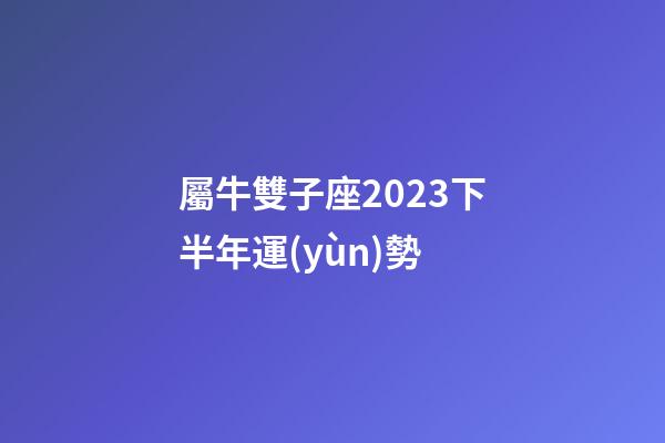屬牛雙子座2023下半年運(yùn)勢-第1張-星座運(yùn)勢-玄機(jī)派