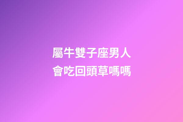 屬牛雙子座男人會吃回頭草嗎嗎-第1張-星座運勢-玄機派