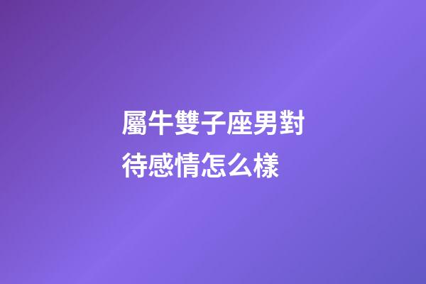 屬牛雙子座男對待感情怎么樣-第1張-星座運(yùn)勢-玄機(jī)派