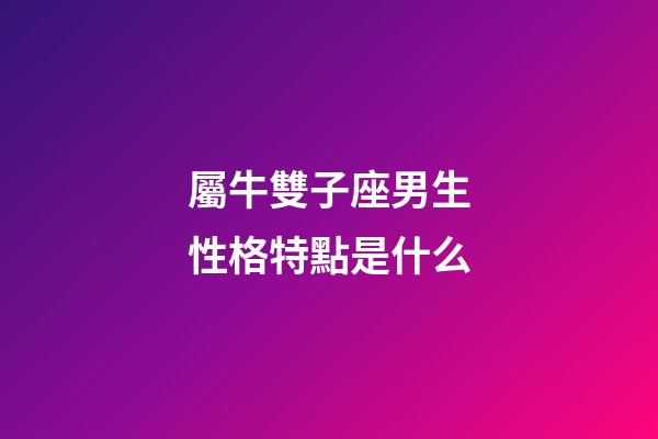 屬牛雙子座男生性格特點是什么-第1張-星座運勢-玄機派