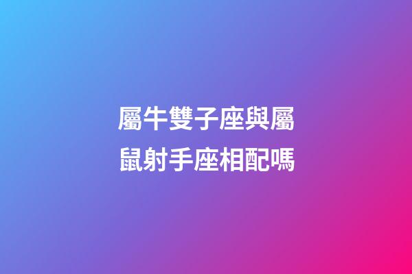 屬牛雙子座與屬鼠射手座相配嗎-第1張-星座運勢-玄機派