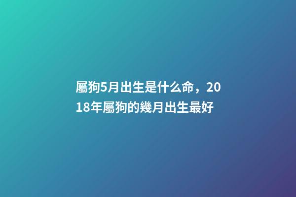 屬狗5月出生是什么命，2018年屬狗的幾月出生最好-第1張-觀點-玄機派