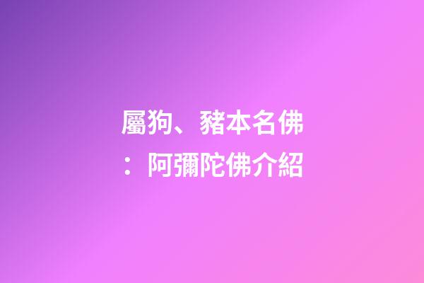 屬狗、豬本名佛：阿彌陀佛介紹