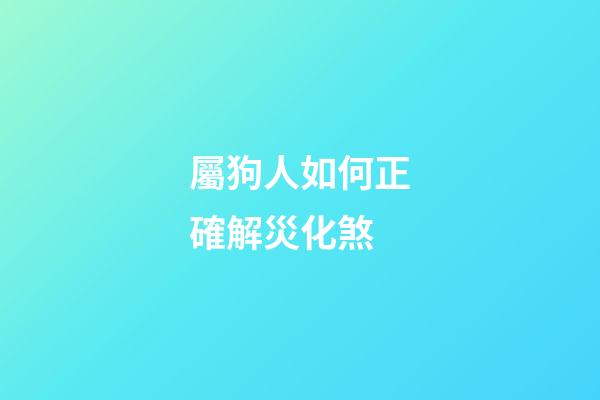 屬狗人如何正確解災化煞