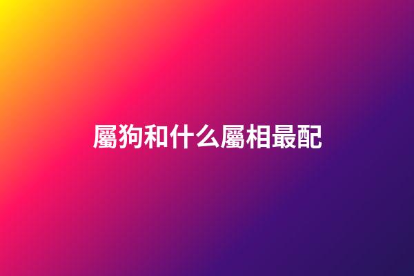 屬狗和什么屬相最配（屬狗最忌諱的兩個屬相）-第1張-星座運勢-玄機派