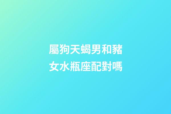 屬狗天蝎男和豬女水瓶座配對嗎-第1張-星座運勢-玄機派