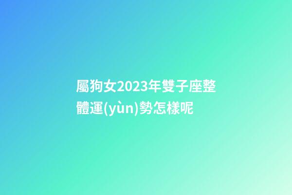 屬狗女2023年雙子座整體運(yùn)勢怎樣呢
