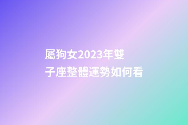 屬狗女2023年雙子座整體運勢如何看-第1張-星座運勢-玄機派