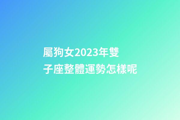 屬狗女2023年雙子座整體運勢怎樣呢-第1張-星座運勢-玄機派