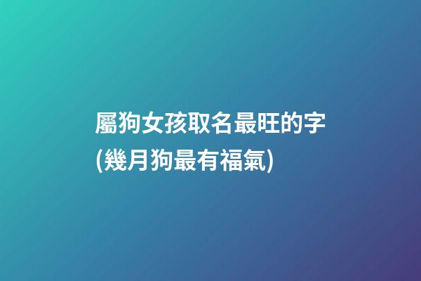 屬狗女孩取名最旺的字(幾月狗最有福氣)