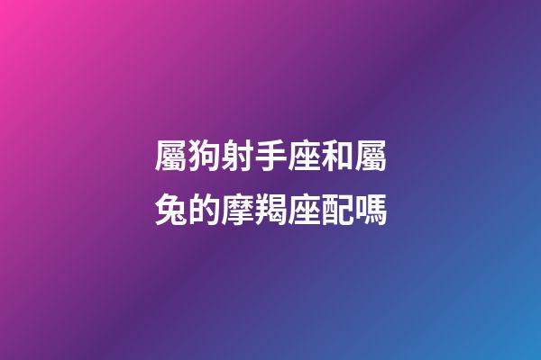 屬狗射手座和屬兔的摩羯座配嗎-第1張-星座運勢-玄機派