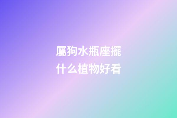 屬狗水瓶座擺什么植物好看