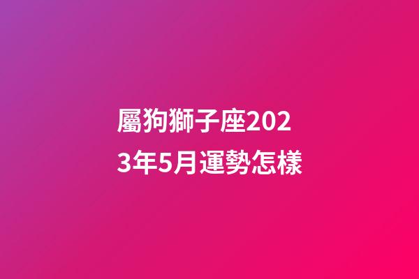 屬狗獅子座2023年5月運勢怎樣-第1張-星座運勢-玄機派