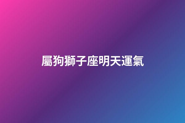 屬狗獅子座明天運氣-第1張-星座運勢-玄機派