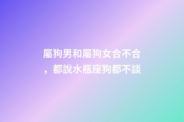 屬狗男和屬狗女合不合，都說水瓶座狗都不談-第1張-觀點-玄機派