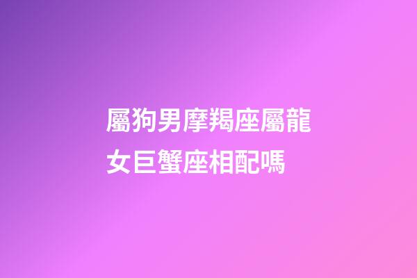 屬狗男摩羯座屬龍女巨蟹座相配嗎-第1張-星座運勢-玄機派