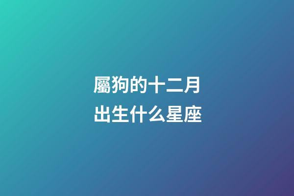 屬狗的十二月出生什么星座-第1張-星座運勢-玄機派