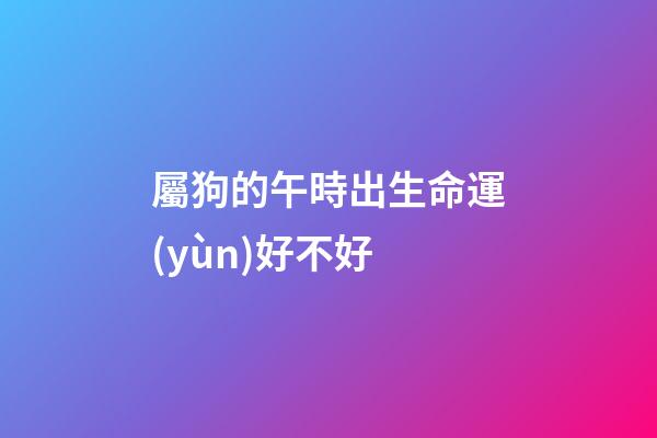 屬狗的午時出生命運(yùn)好不好
