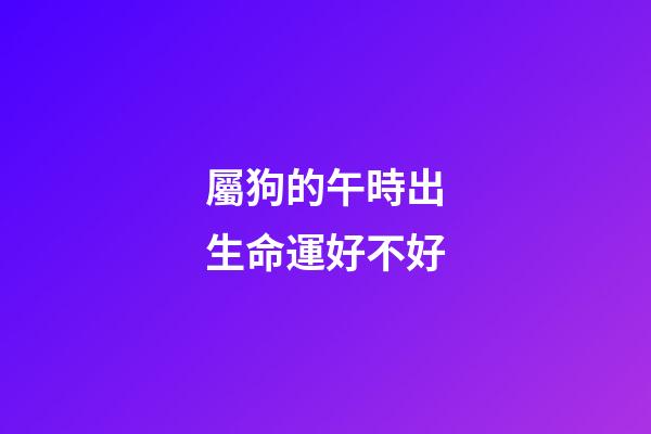 屬狗的午時出生命運好不好