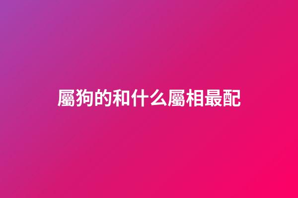 屬狗的和什么屬相最配（狗配哪個生肖最好）-第1張-星座運勢-玄機派