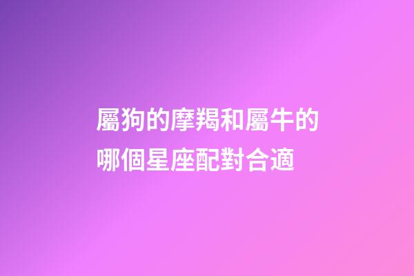 屬狗的摩羯和屬牛的哪個星座配對合適-第1張-星座運勢-玄機派