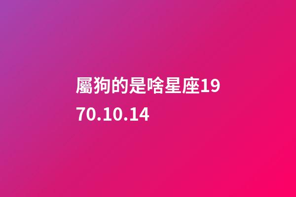屬狗的是啥星座1970.10.14-第1張-星座運勢-玄機派