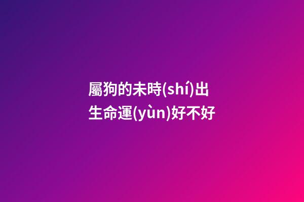 屬狗的未時(shí)出生命運(yùn)好不好