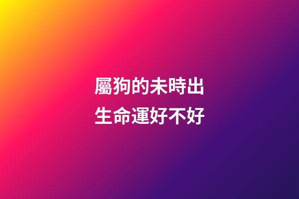 屬狗的未時出生命運好不好