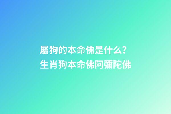 屬狗的本命佛是什么？生肖狗本命佛阿彌陀佛