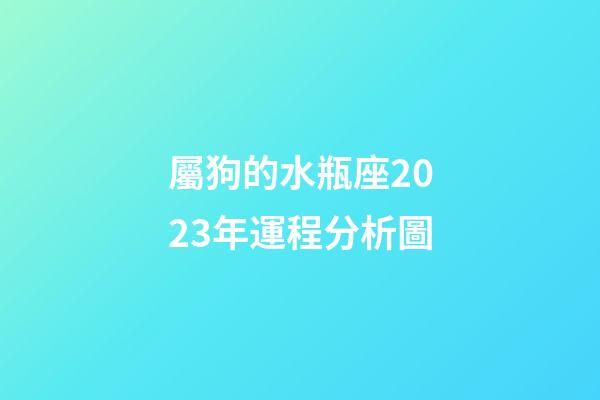 屬狗的水瓶座2023年運程分析圖-第1張-星座運勢-玄機派