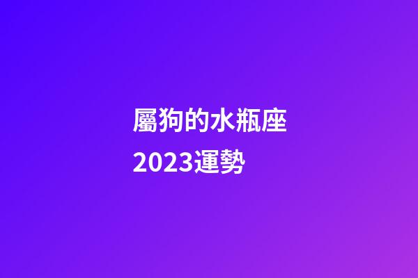 屬狗的水瓶座2023運勢-第1張-星座運勢-玄機派