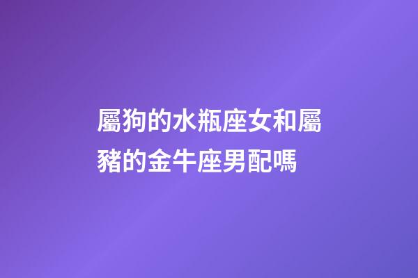 屬狗的水瓶座女和屬豬的金牛座男配嗎-第1張-星座運勢-玄機派