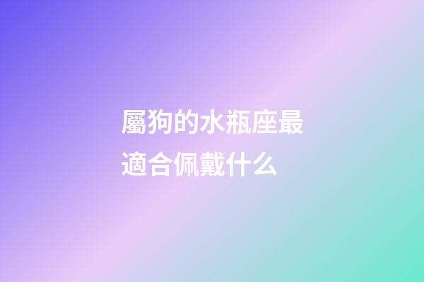 屬狗的水瓶座最適合佩戴什么-第1張-星座運勢-玄機派