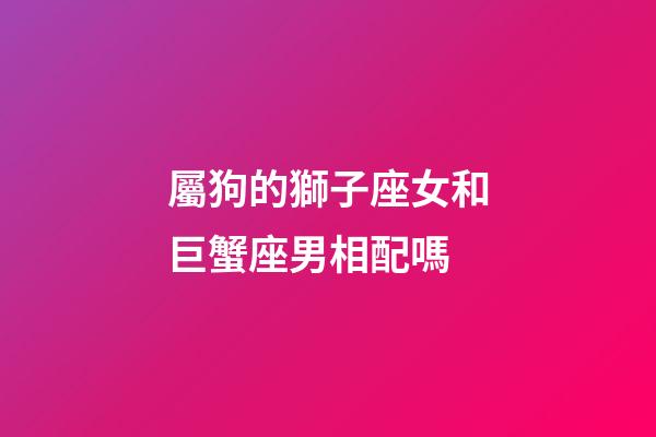 屬狗的獅子座女和巨蟹座男相配嗎-第1張-星座運勢-玄機派