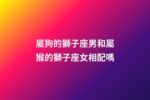 屬狗的獅子座男和屬猴的獅子座女相配嗎-第1張-星座運勢-玄機派