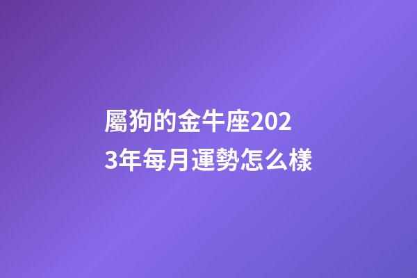 屬狗的金牛座2023年每月運勢怎么樣-第1張-星座運勢-玄機派