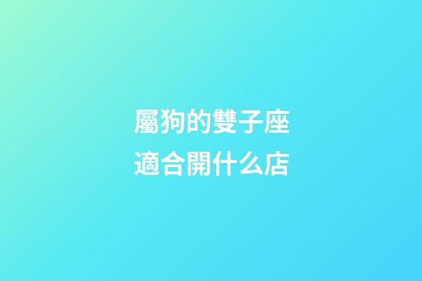 屬狗的雙子座適合開什么店-第1張-星座運勢-玄機派