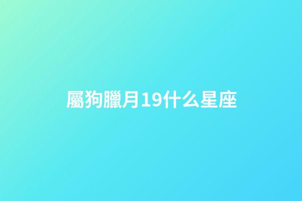屬狗臘月19什么星座-第1張-星座運(yùn)勢-玄機(jī)派