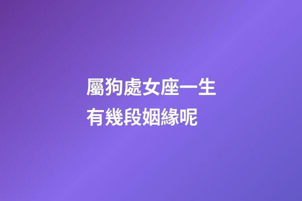 屬狗處女座一生有幾段姻緣呢-第1張-星座運勢-玄機派