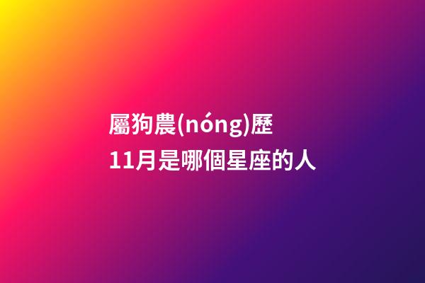 屬狗農(nóng)歷11月是哪個星座的人-第1張-星座運(yùn)勢-玄機(jī)派