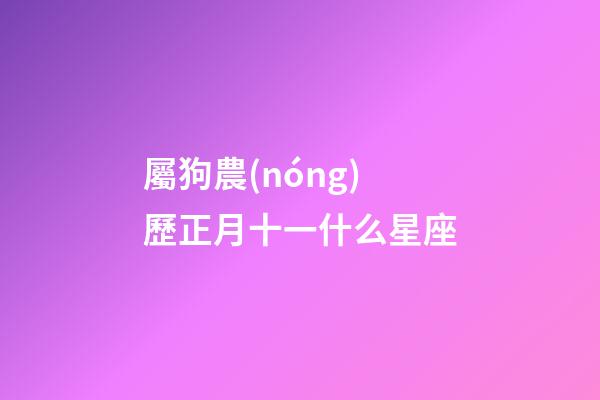 屬狗農(nóng)歷正月十一什么星座
