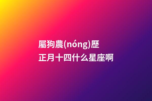 屬狗農(nóng)歷正月十四什么星座啊-第1張-星座運勢-玄機派