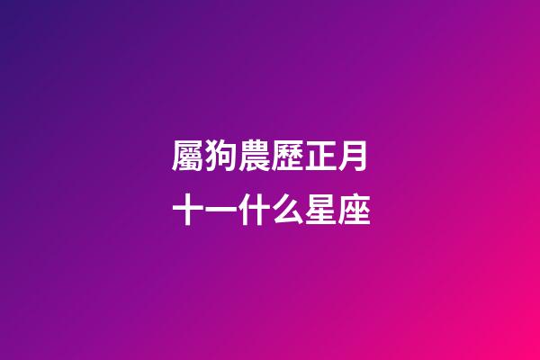 屬狗農歷正月十一什么星座-第1張-星座運勢-玄機派
